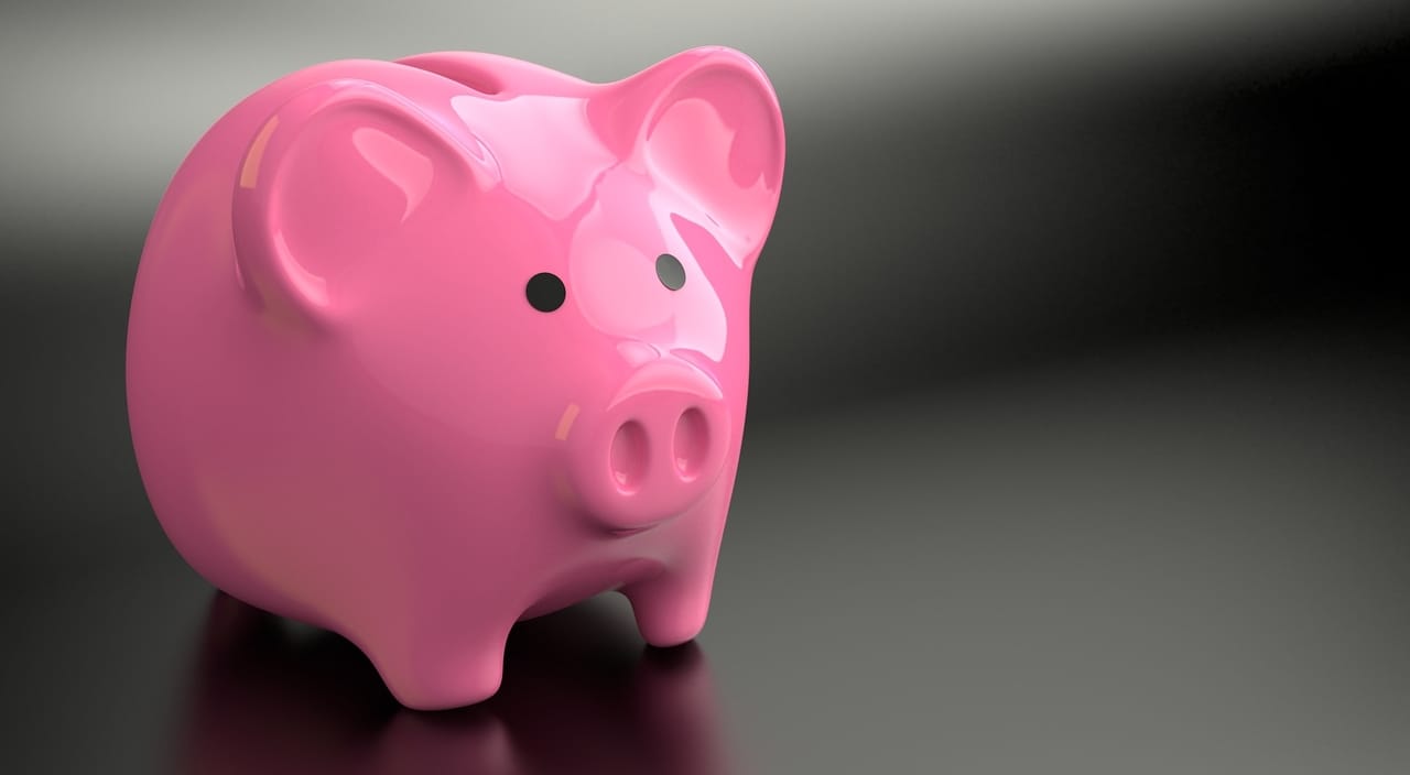 pink-piggy-bank