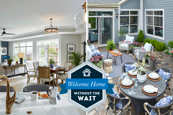 lasso_email_template_header_4