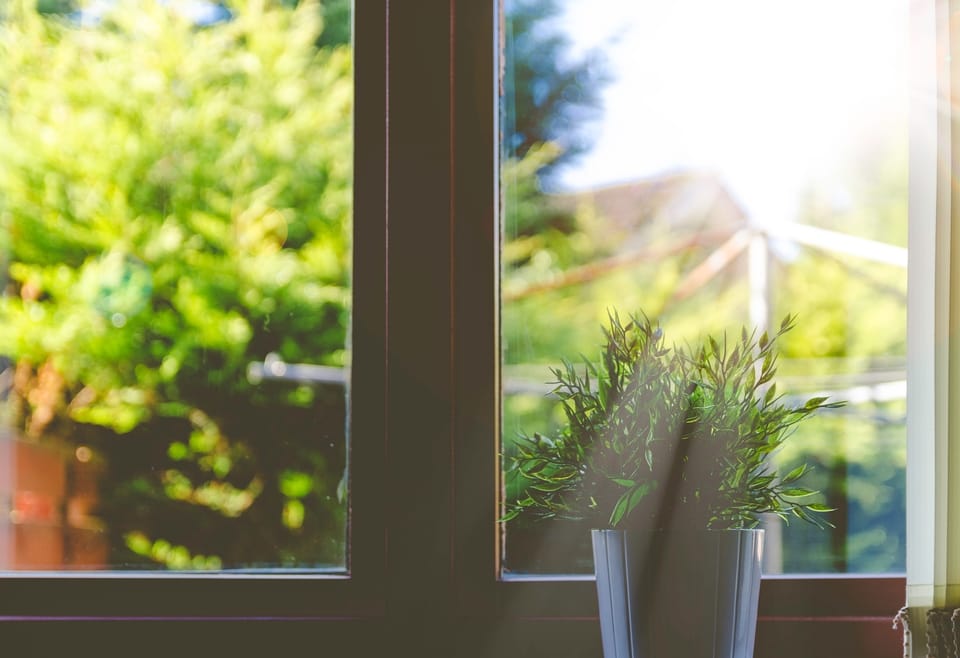 sunlight-through-window-with-plant